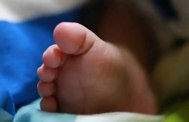 मथुरा के गांव में बच्चों की मौत का कारण डेंगू, लखनऊ से पहुंचे विशेषज्ञ