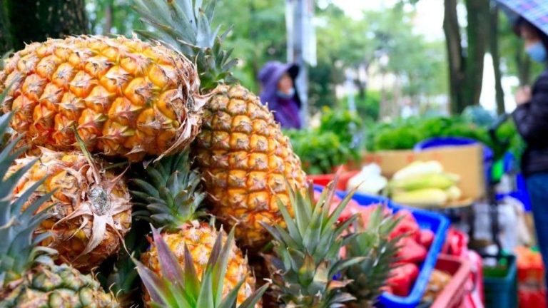 फलों का विवाद : अनानास के बाद सीताफल को लेकर चीन से भिड़ा ताइवान