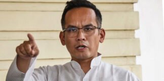 gOGOi