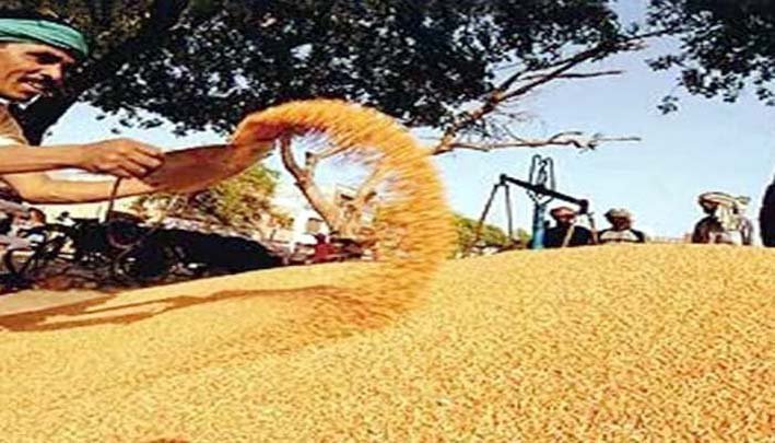 पूर्वी उप्र में पहली नवंबर से शुरू होगी धान खरीद
