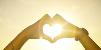 Love between bangladesh and bharat