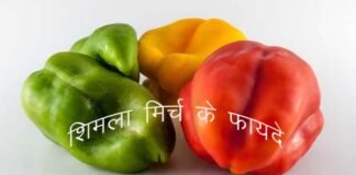 Shimla Mirch ke fayde