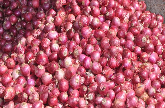 Onion Export