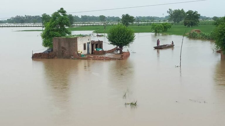 पंजाब में बाढ़ से जनजीवन अस्त-व्यस्त, रावी, ब्यास और सतलुज नदियां उफान पर