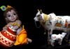गोपाष्टमी आज, भक्त करेंगे गौ माता की पूजा